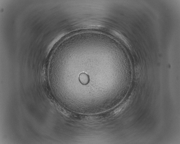 X0000074930875200609081323