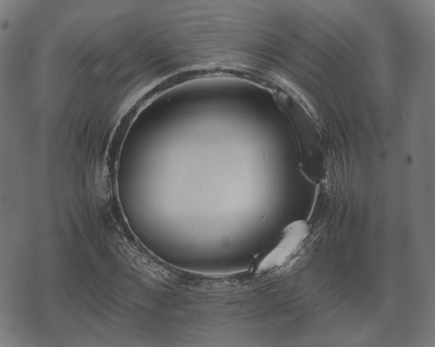 X0000074930876200609081323