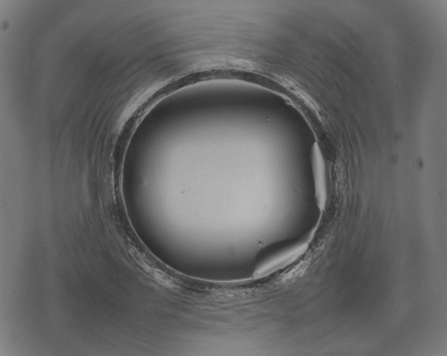 X0000074930877200609081323