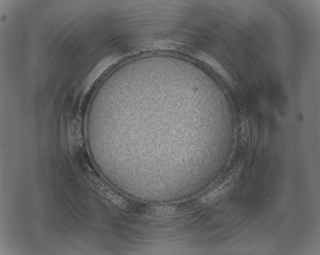 X0000074930878200609081323