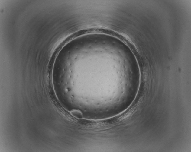 X0000074930879200609081323