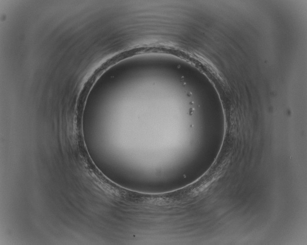 X0000074930880200609081323