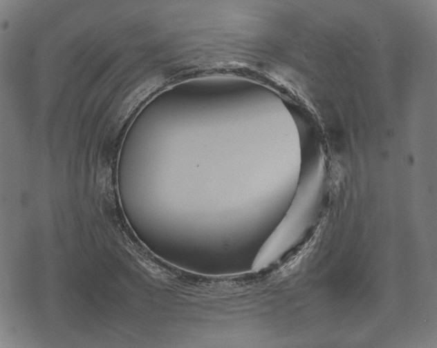 X0000074930881200609081323