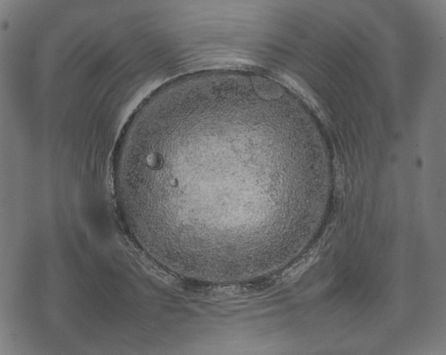 X0000074930883200609081323