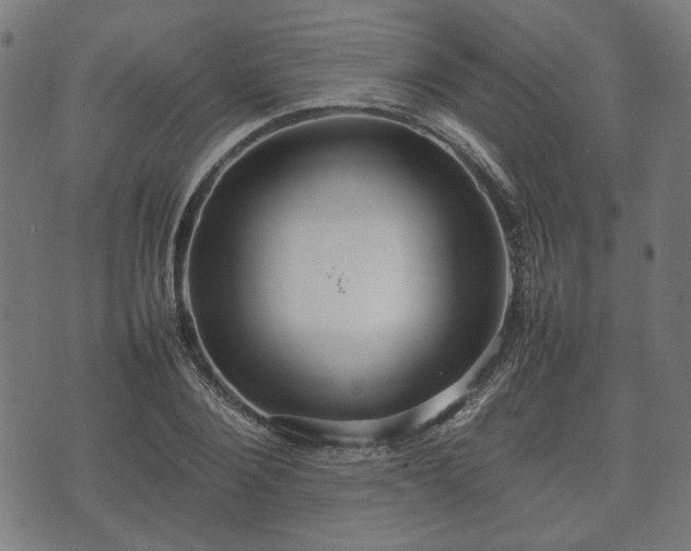 X0000074930884200609081323