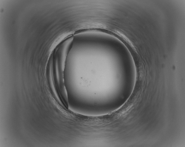 X0000074930885200609081323