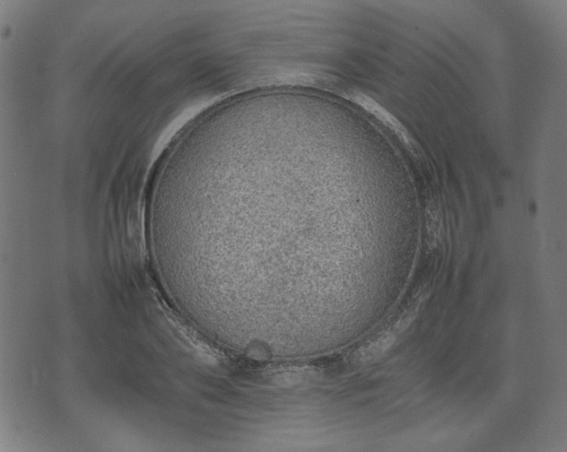 X0000074930886200609081323