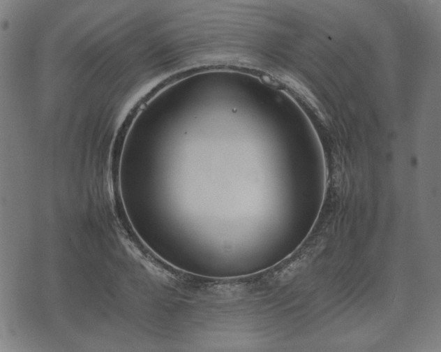 X0000074930888200609081323