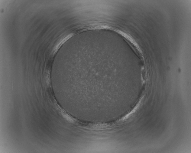 X0000074930889200609081323