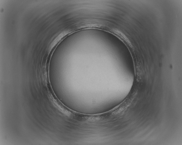 X0000074930890200609081323