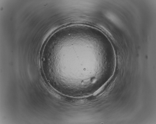 X0000074930891200609081323