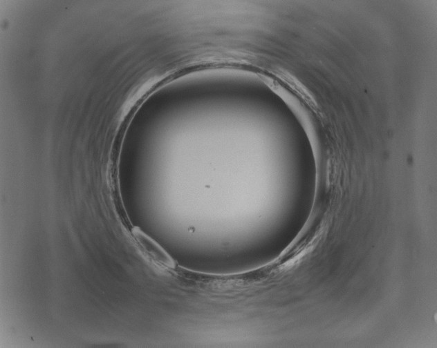 X0000074930893200609081323