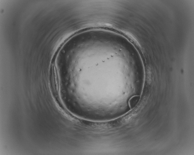 X0000074930895200609081323