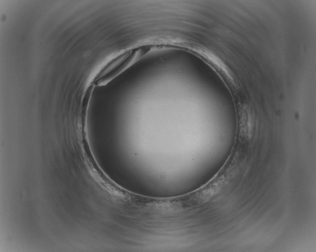 X0000074930896200609081323