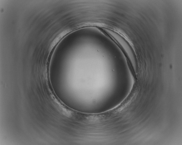 X0000074930898200609081323