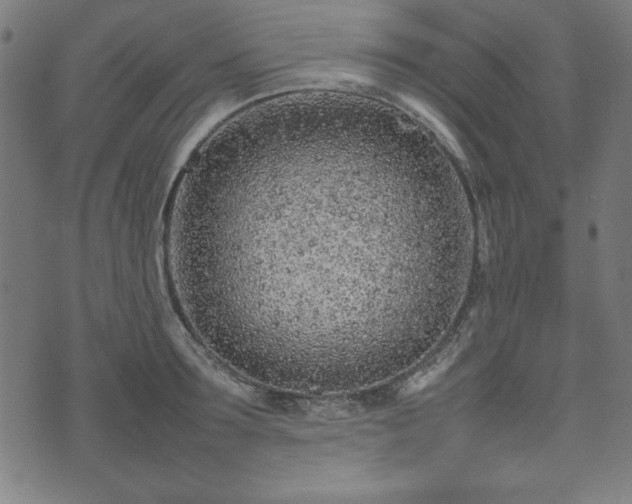 X0000074930899200609081323