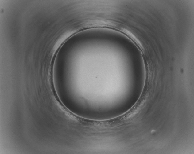 X0000074930901200609081323