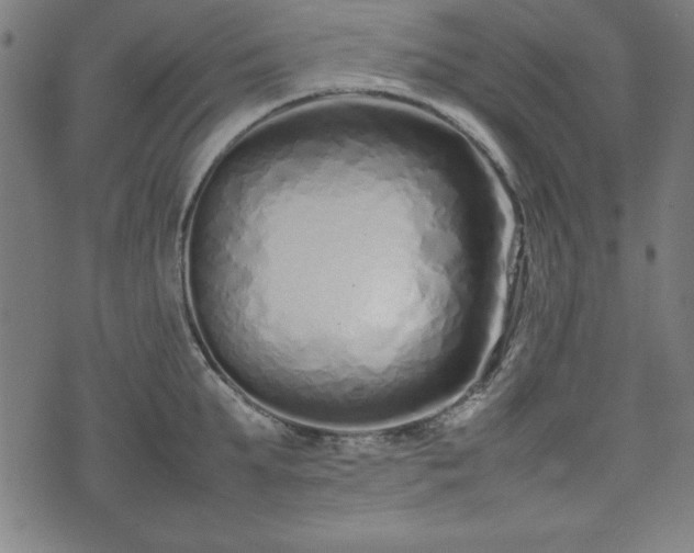 X0000074930903200609081323