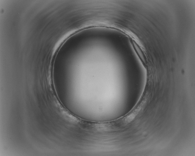 X0000074930904200609081323