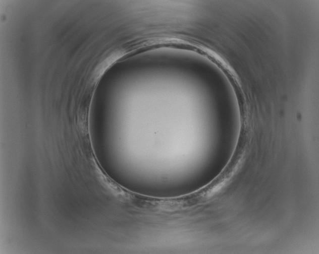 X0000074930905200609081323