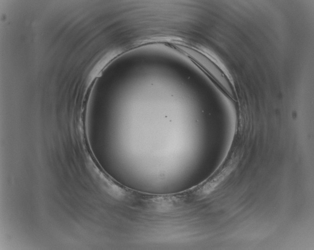 X0000074930906200609081323