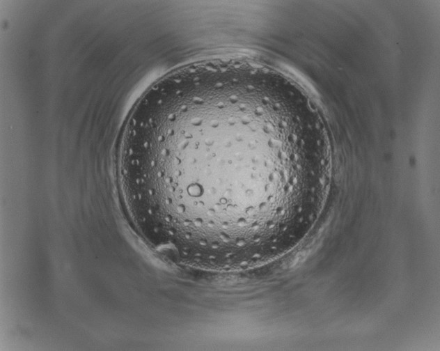 X0000074930907200609081323