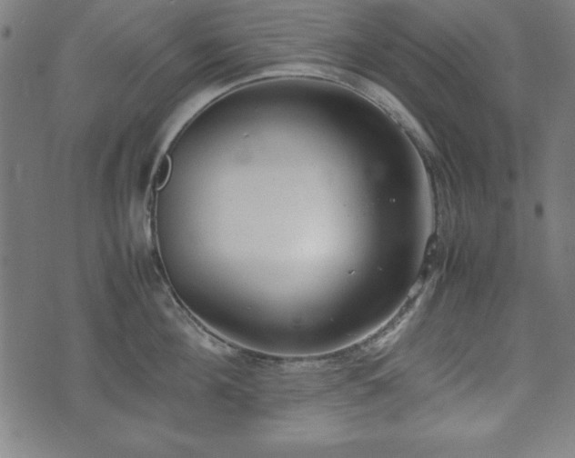 X0000074930908200609081323