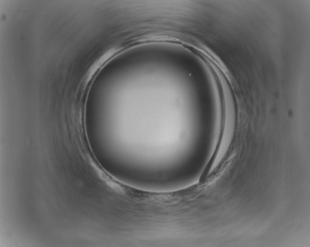 X0000074930909200609081323