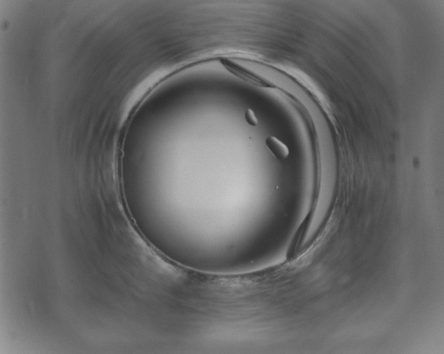 X0000074930910200609081322