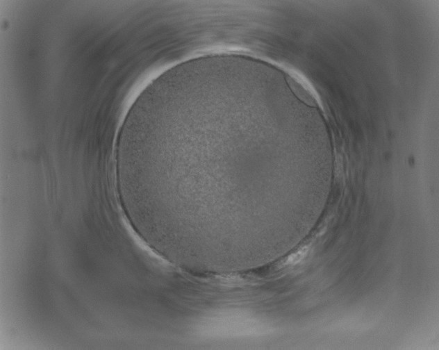 X0000074930911200609081322