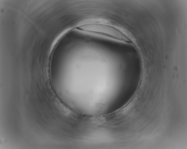 X0000074930912200609081322