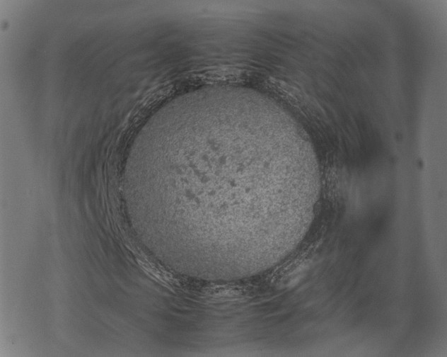 X0000074930913200609081322