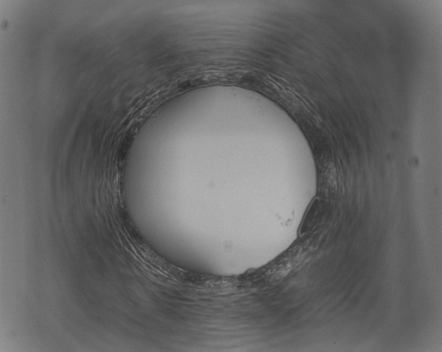 X0000074930914200609081322