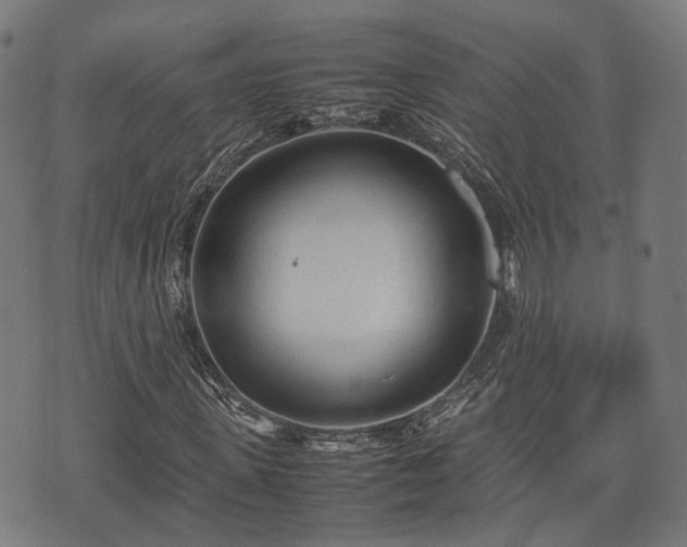 X0000074930915200609081322