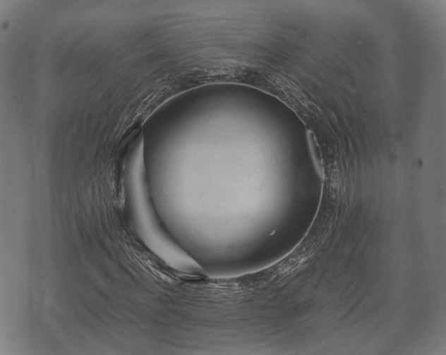 X0000074930916200609081322