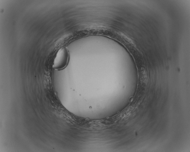 X0000074930918200609081322