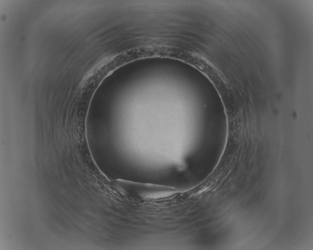 X0000074930919200609081322