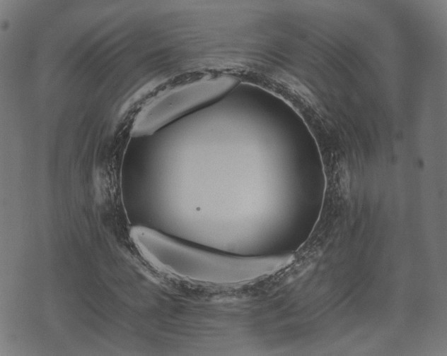 X0000074930920200609081322