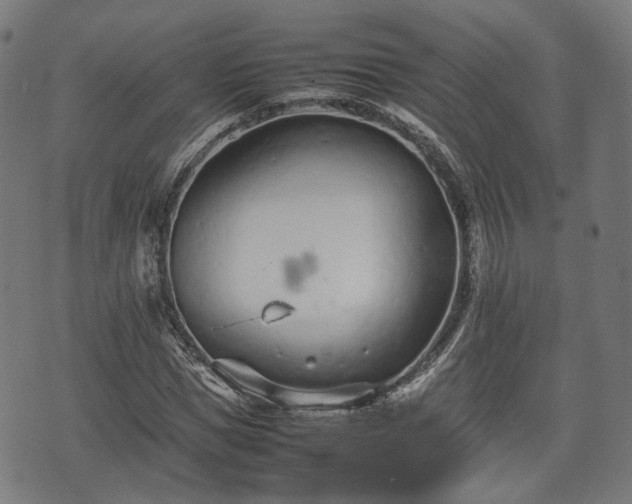 X0000074930921200609081322