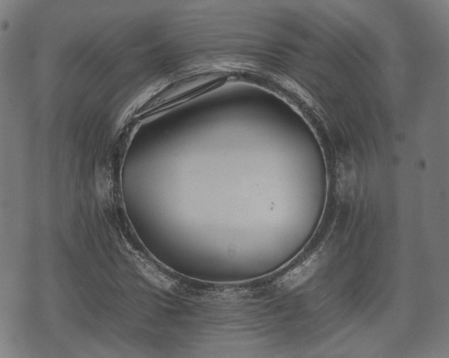 X0000074930922200609081322