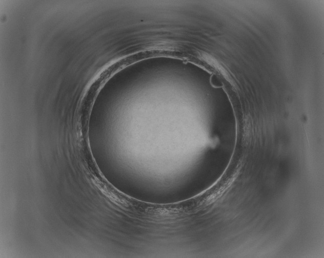 X0000074930923200609081322