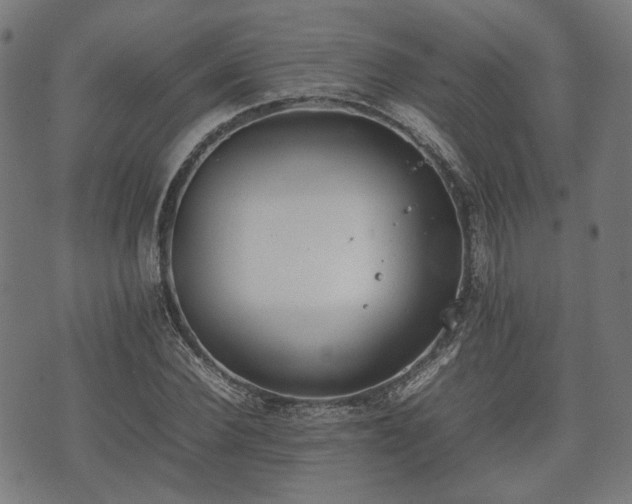 X0000074930924200609081322