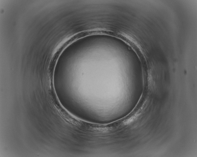 X0000074930925200609081322