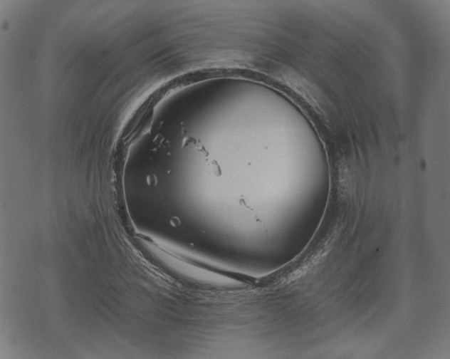 X0000074930926200609081322