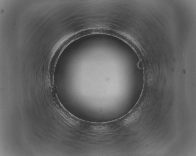 X0000074930927200609081322