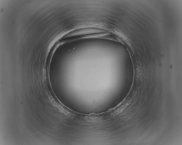 X0000074930928200609081322