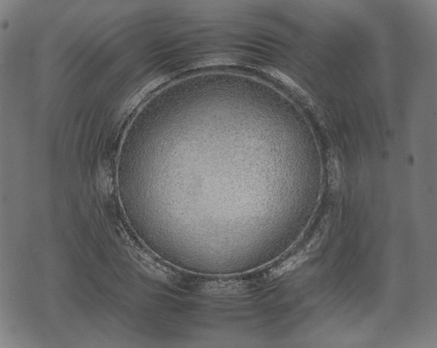 X0000074930929200609081322