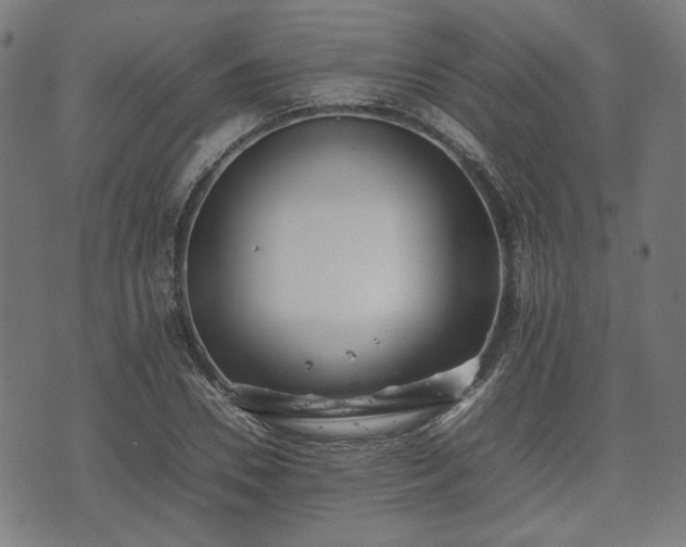 X0000074930930200609081322