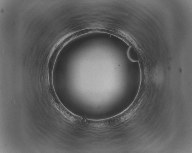 X0000074930931200609081322