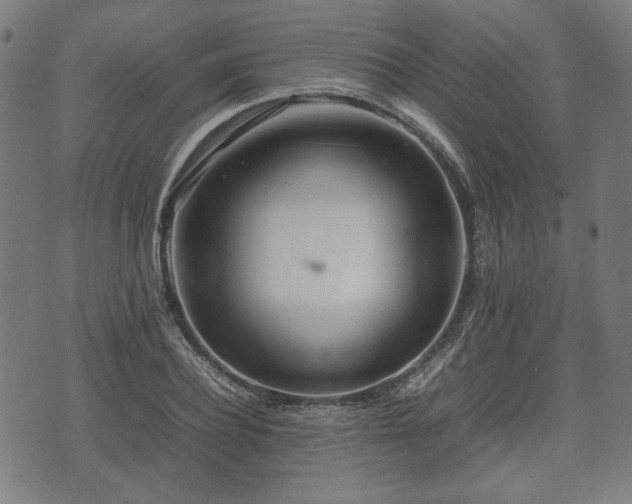 X0000074930932200609081322